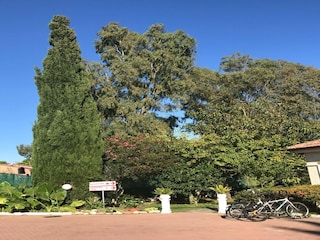 Apartment Loano Außenaufnahme 5