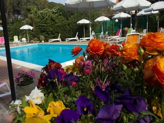 Apartment Loano Außenaufnahme 6