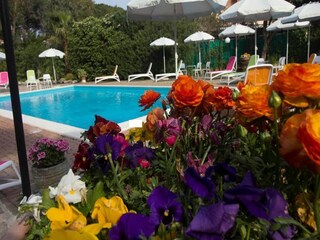 Appartement Loano Buitenaudio-opname 9