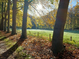 Casa per le vacanze Nunspeet Ambiente 34