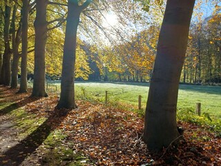 Maison de vacances Nunspeet Environnement 28