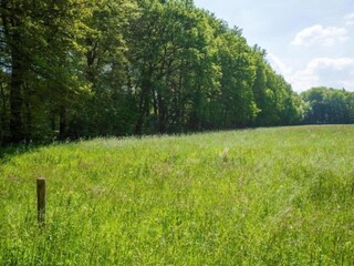 Casa per le vacanze Nunspeet Ambiente 32