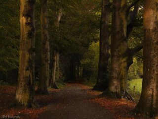 Maison de vacances Nunspeet Environnement 36