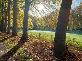 Casa per le vacanze Nunspeet Ambiente 31
