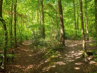 Casa per le vacanze Nunspeet Ambiente 33