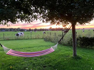 Vakantiehuis Montfoort Buitenaudio-opname 7