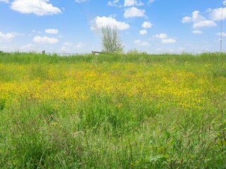 Casa de vacaciones Montfoort Entorno 38