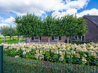Ferienhaus Montfoort Außenaufnahme 5