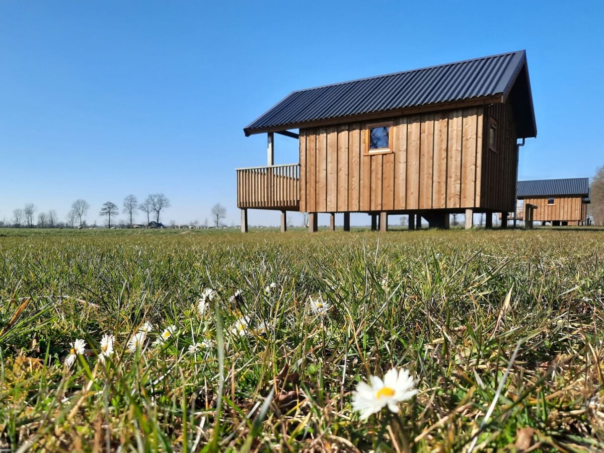 Ferienpark Ruinerwold Außenaufnahme 1