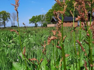 Holiday park Ruinerwold Outdoor Recording 14