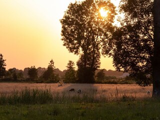 Vakantiepark Ruinerwold Buitenaudio-opname 13