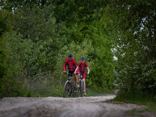 Vakantiepark Ruinerwold Omgeving 32
