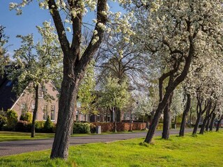 Vakantiepark Ruinerwold Omgeving 37