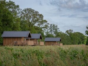 Parc de vacances Lodges composites avec espace partagé à Drenthe - Monde des Ruines - image1