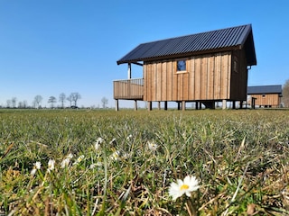 Ferienpark Ruinerwold Außenaufnahme 1