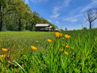 Vakantiepark Ruinerwold Buitenaudio-opname 7