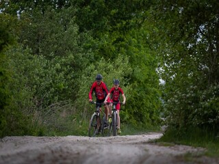 Vakantiepark Ruinerwold Omgeving 29