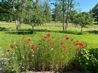 Ferienpark Ruinerwold Umgebung 33