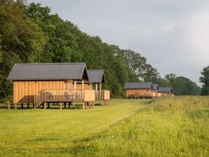 Parc de vacances Lodges composites avec espace partagé à Drenthe - Monde des Ruines - image1