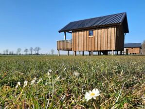Ferienpark Lodges in Drenthe met Uitzicht op Weiden
