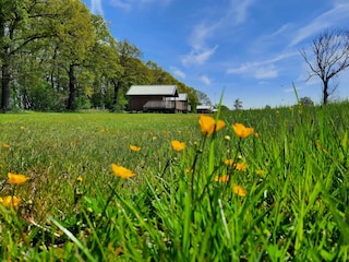 Ferienpark Ruinerwold Außenaufnahme 12
