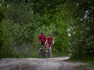 Ferienpark Ruinerwold Umgebung 30