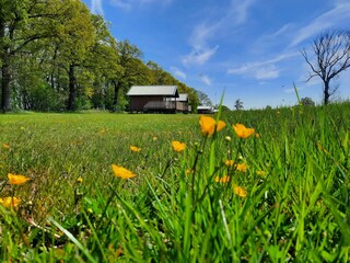 Vakantiepark Ruinerwold Buitenaudio-opname 14