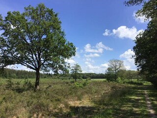 Vakantiepark Ruinerwold Omgeving 37