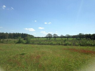 Vakantiepark Ruinerwold Omgeving 38