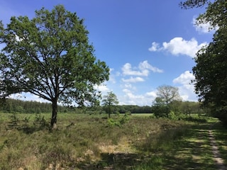 Ferienpark Ruinerwold Umgebung 34