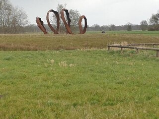 Vakantiepark Ruinerwold Omgeving 29