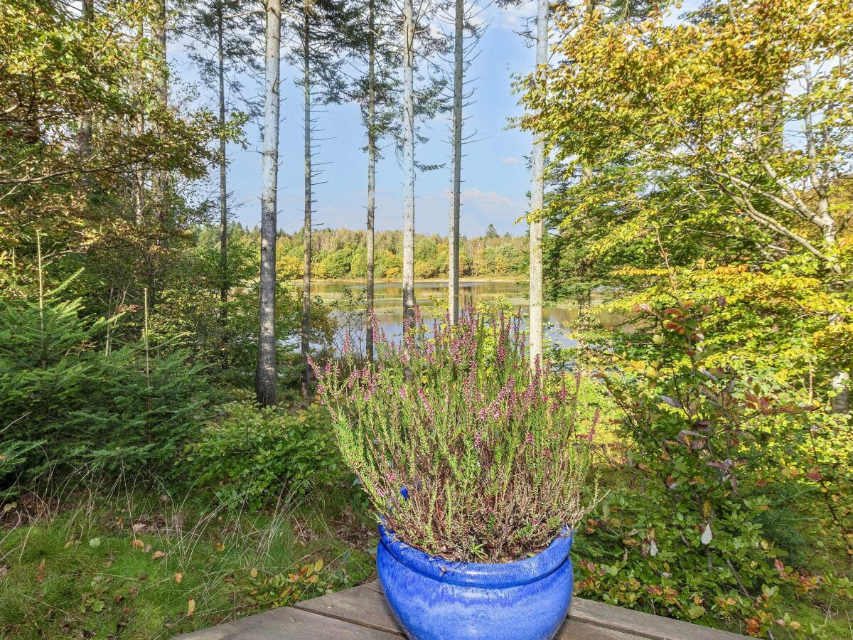 Ferienhaus Gatten Außenaufnahme 7