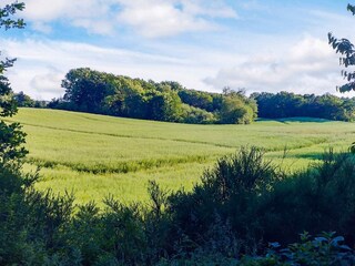 Casa de vacaciones Gatten  36
