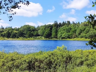 Vakantiehuis Gatten  13