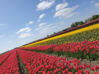 Chalet Enkhuizen Ambiente 17