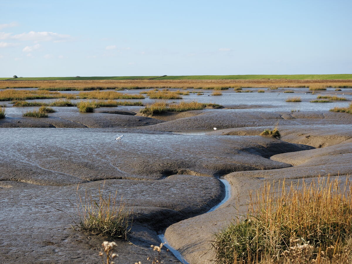 Weltkulturerbe Nationalpark Wattenmeer