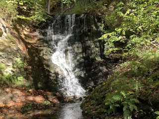 Wasserfall am neuen Teich