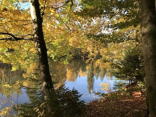 Der Neue Teich im Herbst