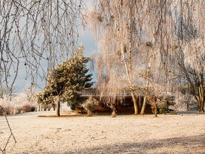 Casa per le vacanze Almhaus per le vacanze - St. Georgen nella Lavanttal - image1