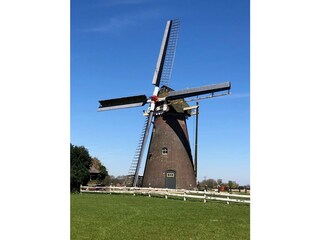 Casa per le vacanze Olburgen Ambiente 40