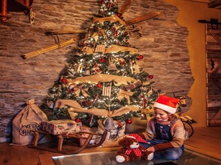 Casa per le vacanze Houffalize  36