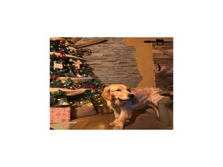 Casa de vacaciones Houffalize  40