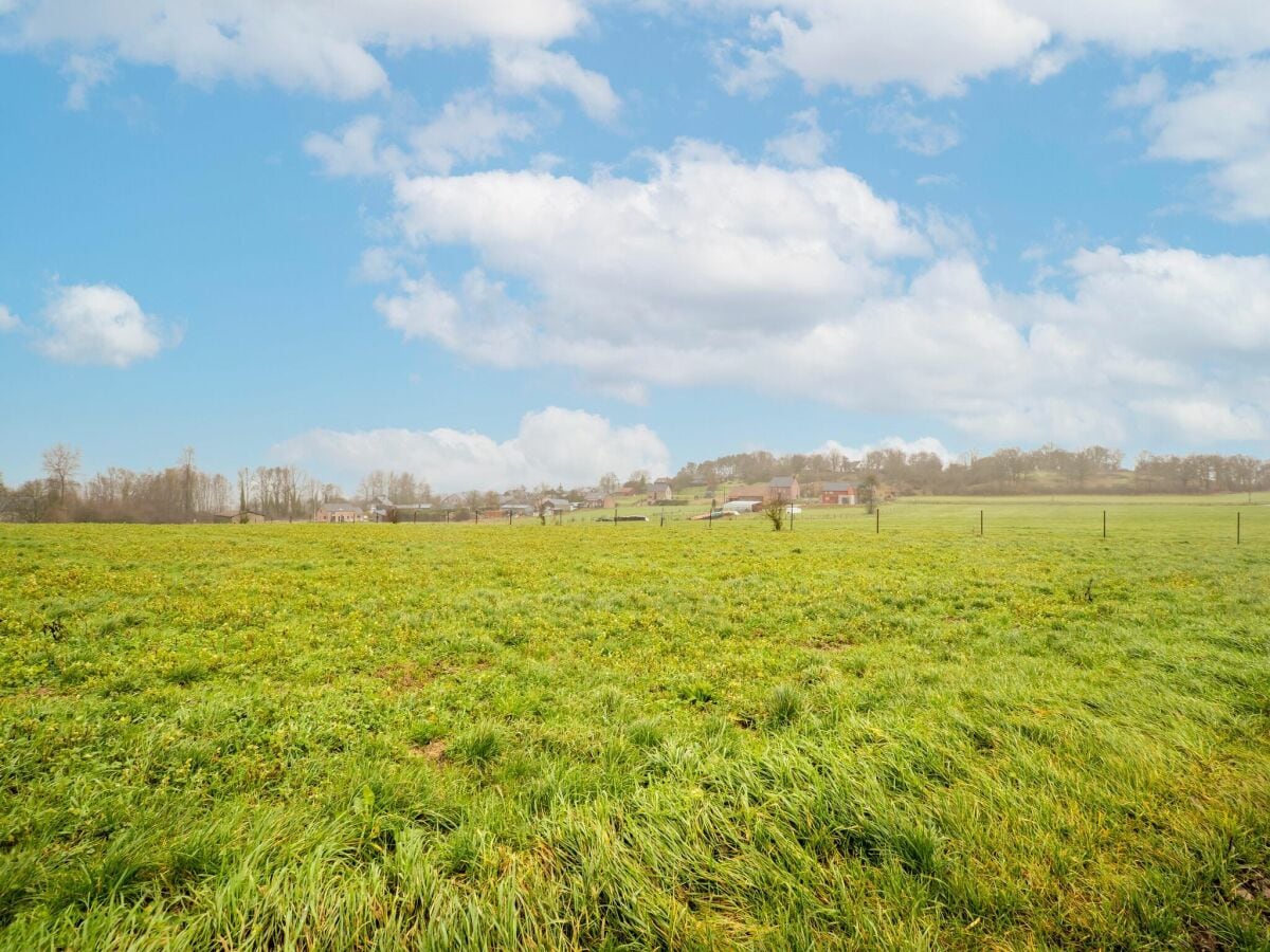 Ferienhaus Viroinval Umgebung 6