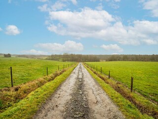 Vakantiehuis Viroinval Omgeving 38