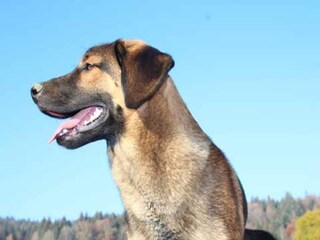 Apartamento Freyung  40