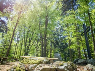 Apartamento Freyung Entorno 17