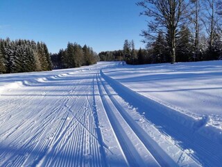 Apartamento Freyung Entorno 33