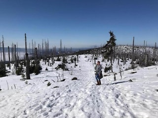 Apartment Freyung Environment 27