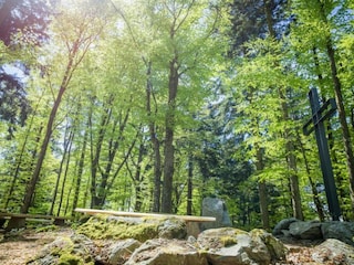 Apartment Freyung Umgebung 35