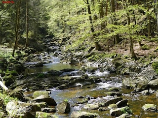 Apartment Freyung Umgebung 41